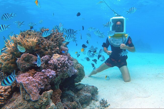 Private Tour: Aqua Safari Scuba Diving - What to bring, and what not to expect