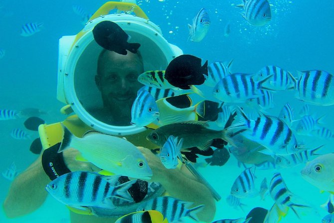 Private Tour: Aqua Safari Scuba Diving - What the strongest praise tells you