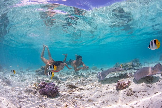 Private Tour: Bora Bora Lagoon Eco Snorkel Cruise - 3hrs or 6hrs - Key points to know before you book