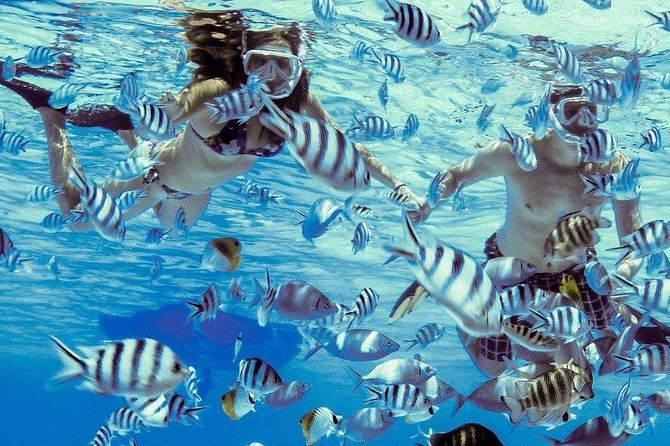 Private Tour: Bora Bora Lagoon Eco Snorkel Cruise - 3hrs or 6hrs - Setting out from your Bora Bora hotel
