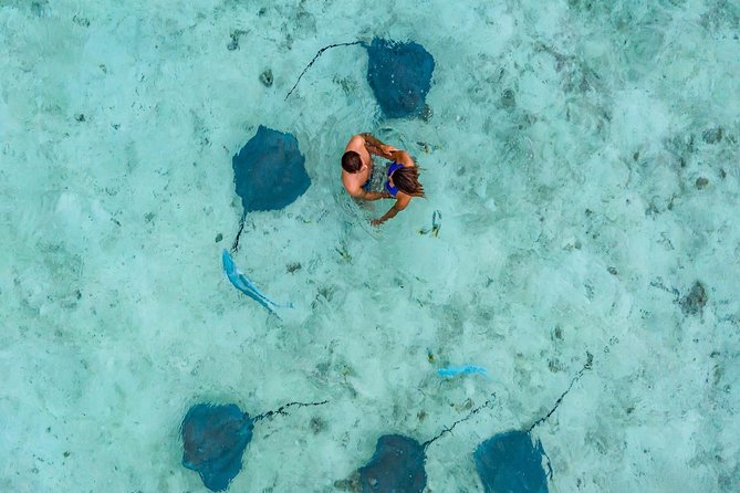 Private Tour: Bora Bora Lagoon Eco Snorkel Cruise - 3hrs or 6hrs - A third eco-tourist area shaped by conditions