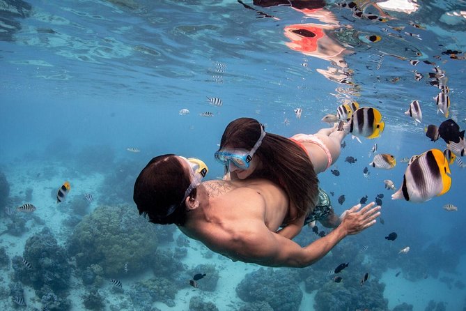 Private Tour: Bora Bora Lagoon Eco Snorkel Cruise - 3hrs or 6hrs - Learning about Bora Bora’s lagoon culture
