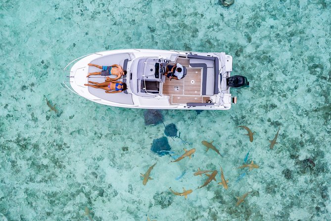 Private Tour: Bora Bora Lagoon Eco Snorkel Cruise - 3hrs or 6hrs - The first snorkel area: coral and small reef life