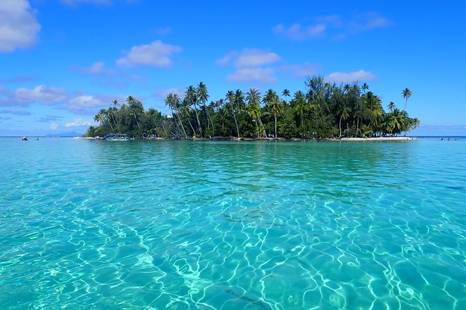 Private tour from Raiatea - 1/2 day excursion to Tahaa or other - Key points at a glance
