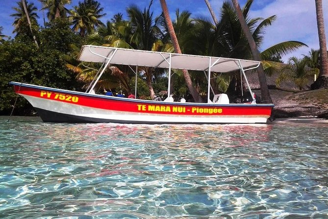 Private tour from Raiatea - 1/2 day excursion to Tahaa or other - Who will get the most from this Taha’a excursion?