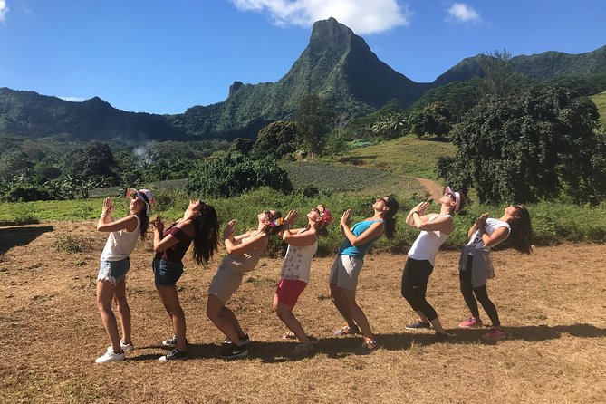 Private Tour Moorea 4WD - Belvedere Pineapple Farm, Magic Mount. - Magic Mountain delivers the biggest view