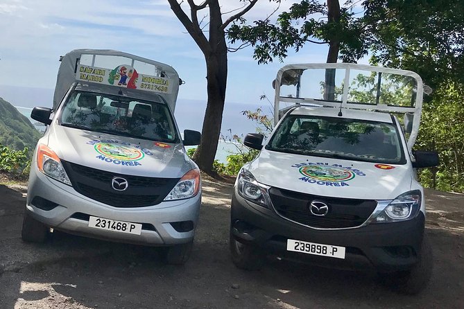 Private Tour Moorea 4WD - Belvedere Pineapple Farm, Magic Mount. - The guides make or break the experience