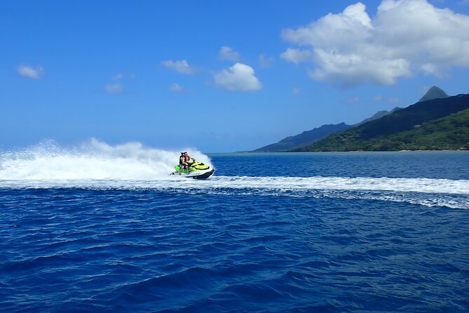 Private tour observing and swimming with humpback whales in Moorea - The real value of $1,640