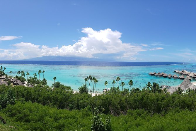 Private Tour of Tahiti's East Coast 3hours - What the private format is worth