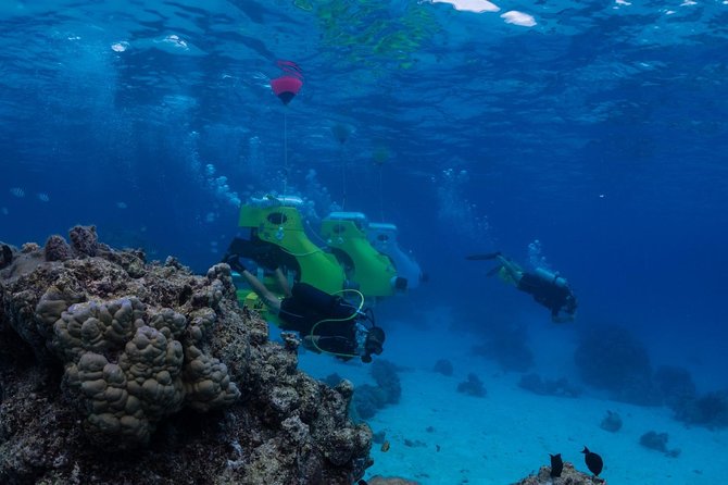 Private Tour: Underwater Scooter Bora Bora - What the underwater scooter experience is really like