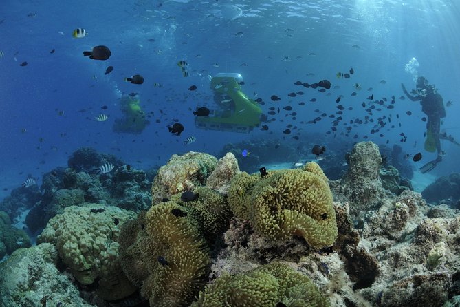 Private Tour: Underwater Scooter Bora Bora - Is $1,381.19 good value for two?