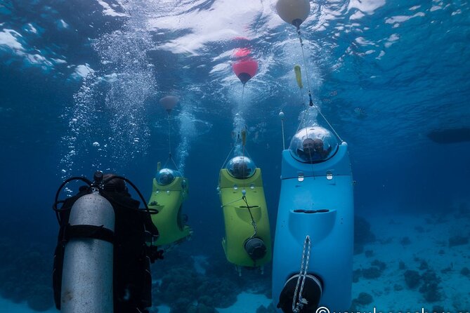 Private Tour: Underwater Scooter Bora Bora - Who will enjoy this most?