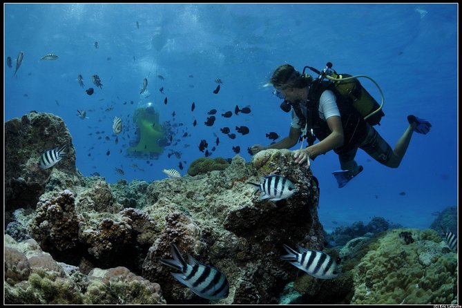 Private Tour: Underwater Scooter Bora Bora - Riding the underwater circuit at three meters