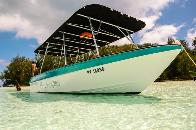 Private tour whale watching and snorkeling in Moorea - What the guide adds to the whale search