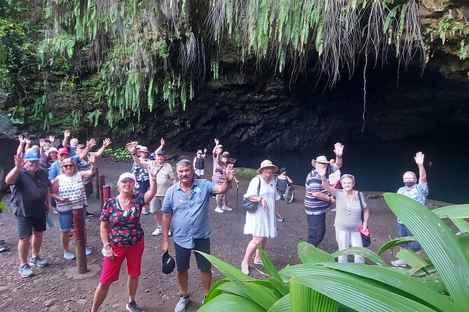 Private Tours of Tahiti by Lydia. Full or Half Day - The view from Parc de Tahara’a