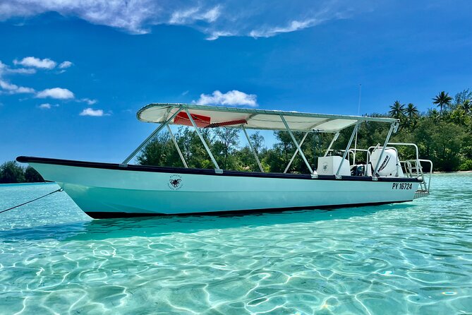 Private Whale Watching Adventure in Mo'orea - Weather, cancellations, and planning your day