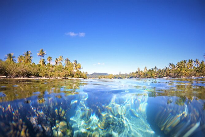 Raiatea-Tahaa Snorkeling in our beautiful Coral Garden - Guides Make the Difference