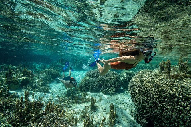 Reef Discovery Luxury Private Snorkeling Lagoon Tour - Snacks, Water, Towels, and Simple Comforts