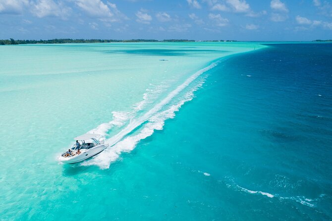 Reef Discovery Private Dream Day Tour - Key details at a glance