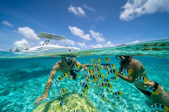 Reef Discovery Private Full Day Lagoon Tour & Motu Lunch - Who Will Get the Most From This Experience