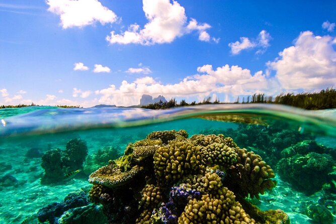 Reef Discovery Private Full Day Lagoon Tour & Water Lunch - The Polynesian water lunch with Mount Otemanu behind you