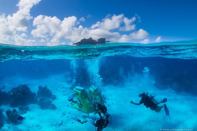 Reef Discovery Private Half Day Lagoon Tour - Who will enjoy this outing most?