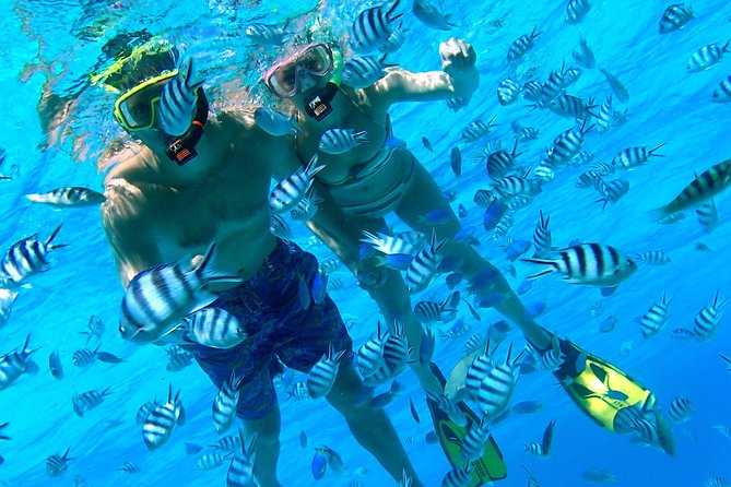 Reef Discovery Private Half Day Lagoon Tour - Starting with hotel or port pickup