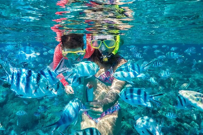 Reef Discovery Private Treasure Hunt - Why a treasure hunt works better than a standard lagoon tour
