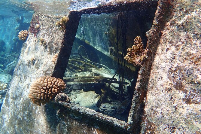 Reef Discovery Private Treasure Hunt - What the $966.97 group price really buys you