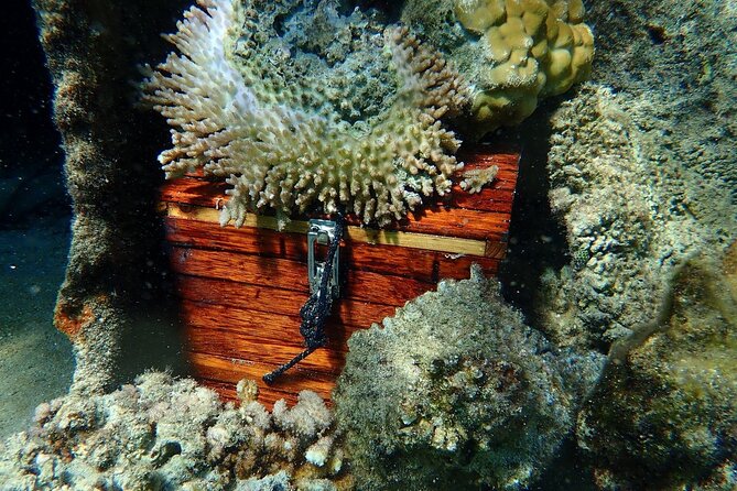 Reef Discovery Private Treasure Hunt - What to bring and how to prepare