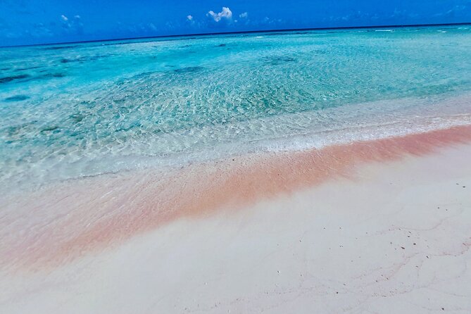 REEF ISLAND | private island | pink sand | natural swimming pools - The morning transfer and boat ride