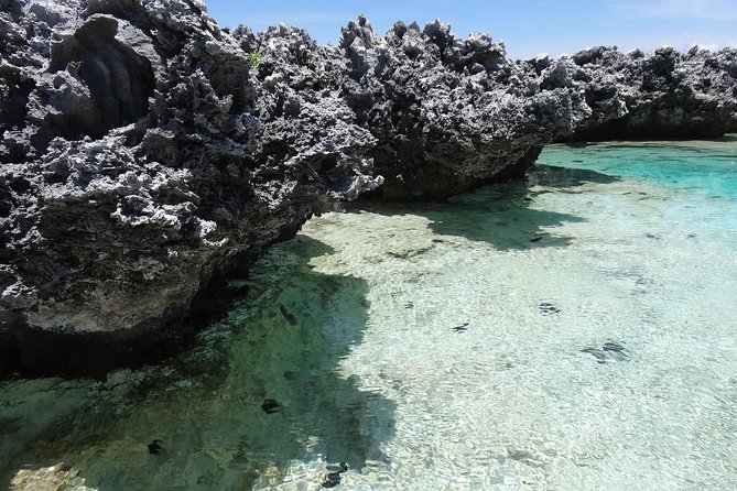 REEF ISLAND | private island | pink sand | natural swimming pools - The guides and the feel of the day