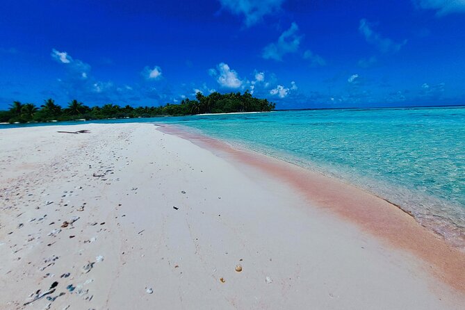 REEF ISLAND | private island | pink sand | natural swimming pools - Exploring the feo and coral garden