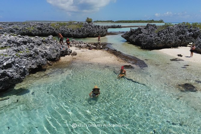 Reef island private tour - Coral-Garden Snorkeling Before Lunch