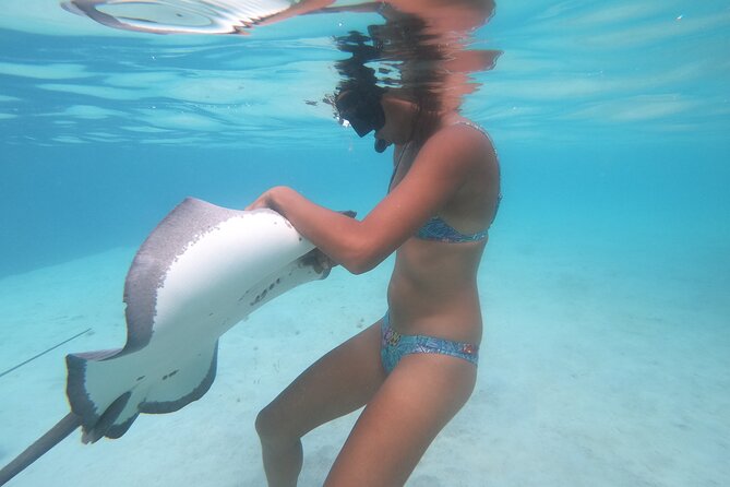 Respectful whale excursion to Tahiti in 4h30 - Physical demands and safety questions