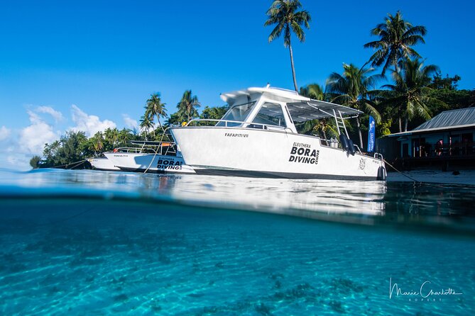 Romantic Dive for beginners in Bora Bora (2 people) with Video - A cameraman gives you more than a memory