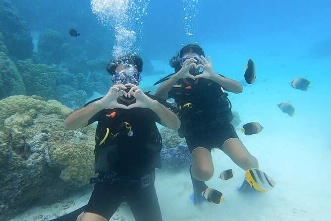 Romantic Dive for beginners in Bora Bora (2 people) with Video - The underwater session and the role of the instructor