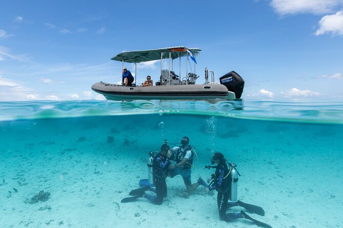 Romantic dive in the lagoon of Bora Bora - Why this Bora Bora outing feels different