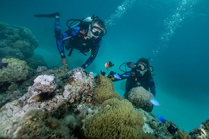 Romantic dive in the lagoon of Bora Bora - The Aquabike Adventure stop