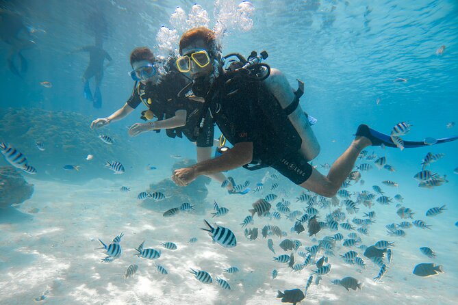 Romantic dive in the lagoon of Bora Bora - Learning the basics with a private instructor