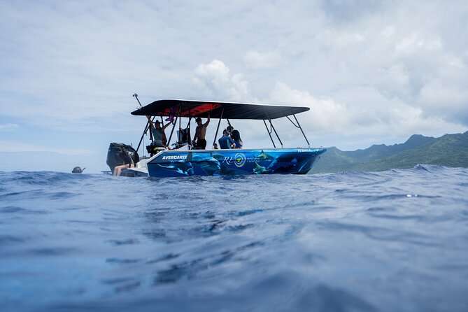Sacred Experience Swimming with a Whale in Moorea - Boat comfort, equipment, and refreshments