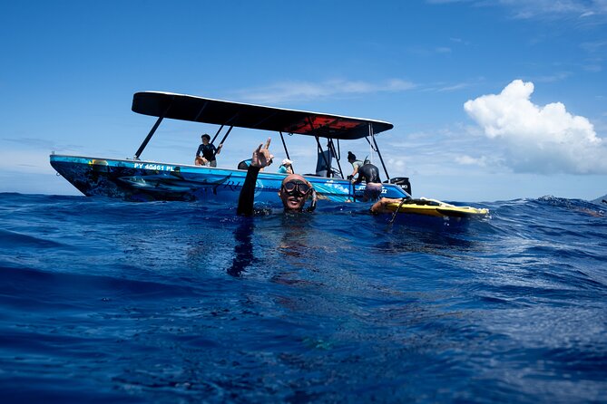 Sacred Experience Swimming with a Whale in Moorea - Searching the warm waters of Moorea