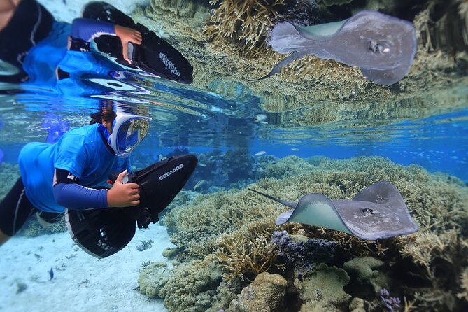 Sea Scooter Jet Snorkeling "Moorea Dream Adventure" - Stop two: turtle territory and reef life