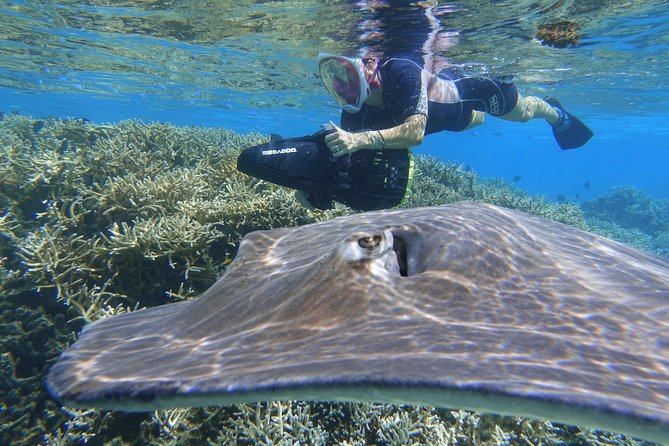 Sea Scooter Jet Snorkeling "Moorea Dream Adventure" - What the $174.63 price really covers