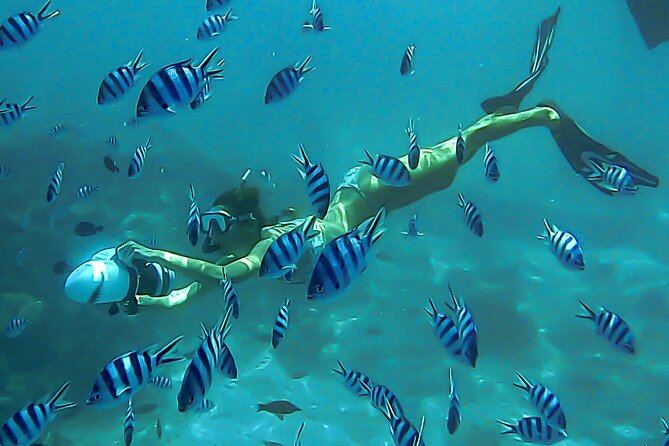 Sea Scooter Snorkel Tour - Lagoon Discovery : Wrecks, Coral Gardens and Tropical Fishies - Six things to know before you book