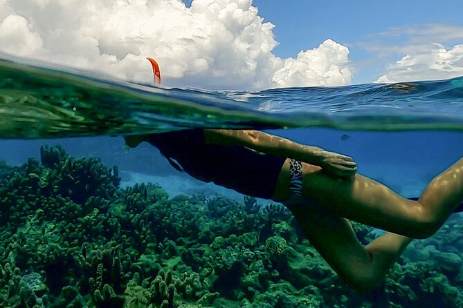 Sea Scooter Snorkel Tour - Lagoon Discovery : Wrecks, Coral Gardens and Tropical Fishies - Why a small group improves the experience