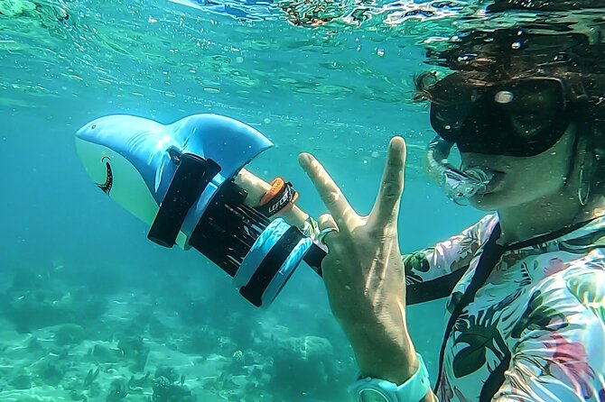 Sea Scooter Snorkel Tour - Lagoon Discovery : Wrecks, Coral Gardens and Tropical Fishies - Wildlife, whale season, and underwater surprises