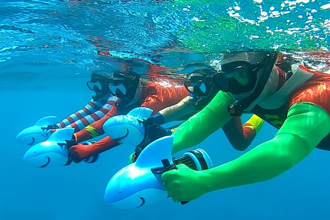 Sea Scooter Snorkel Tour - Lagoon Discovery : Wrecks, Coral Gardens and Tropical Fishies - My booking verdict for the Aquarium