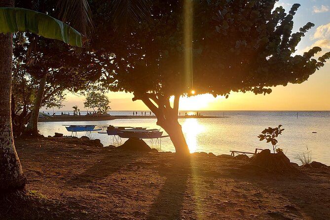 Shared 4.5h Circle Island Tour of Tahiti Nui by Lydia - A careful look at the timing and vehicle
