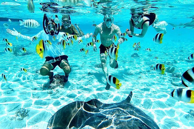 SHARED HALF DAY LAGOON TOUR - Bora Bora Cultural Lagoon Tour - Five things to know before you book